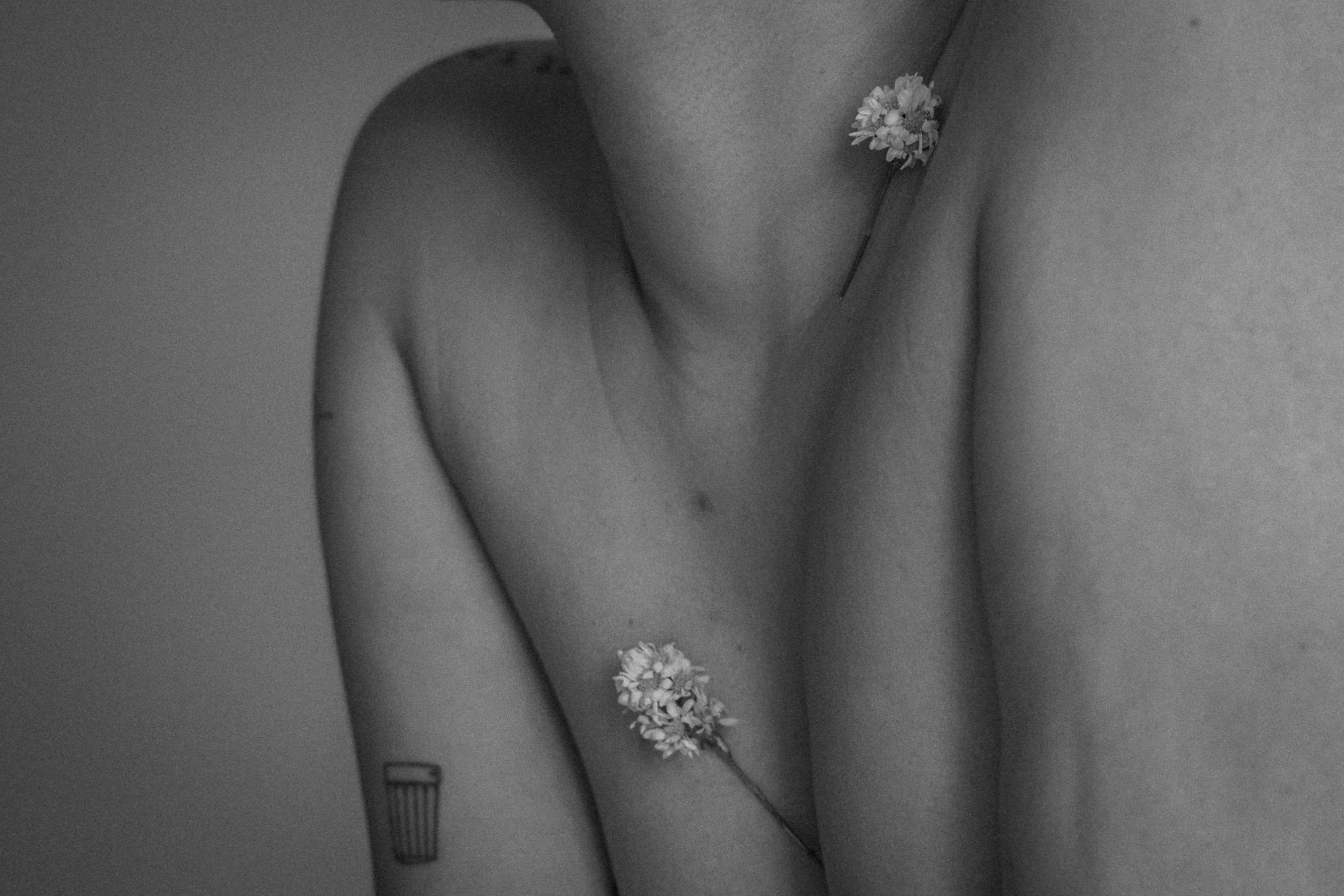 Luísa Savala, fotografia 8