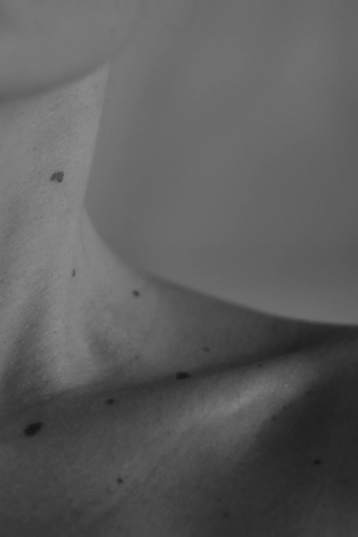 Alice, fotografia 11