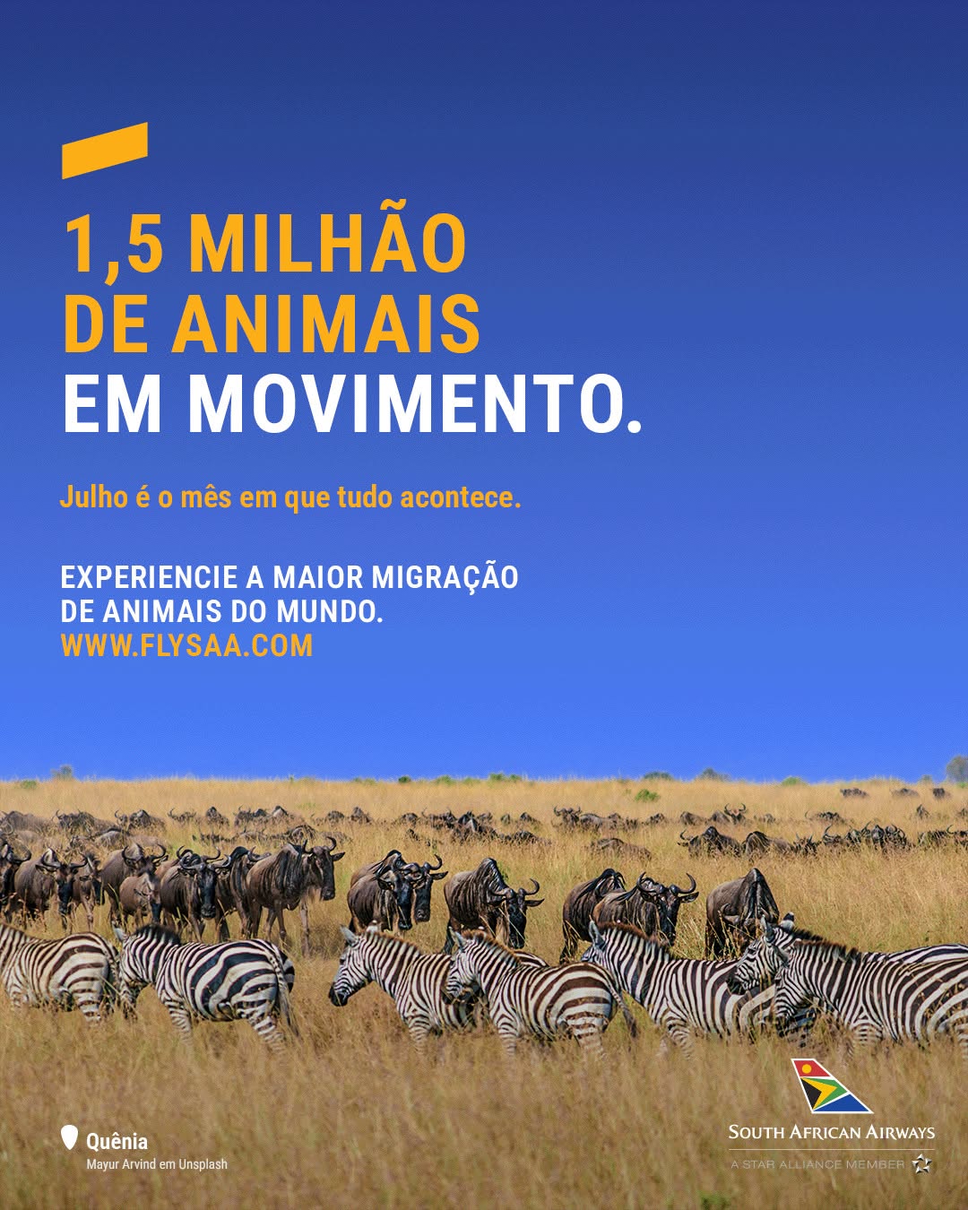 Capa da publicação 5 de flysaabrazil